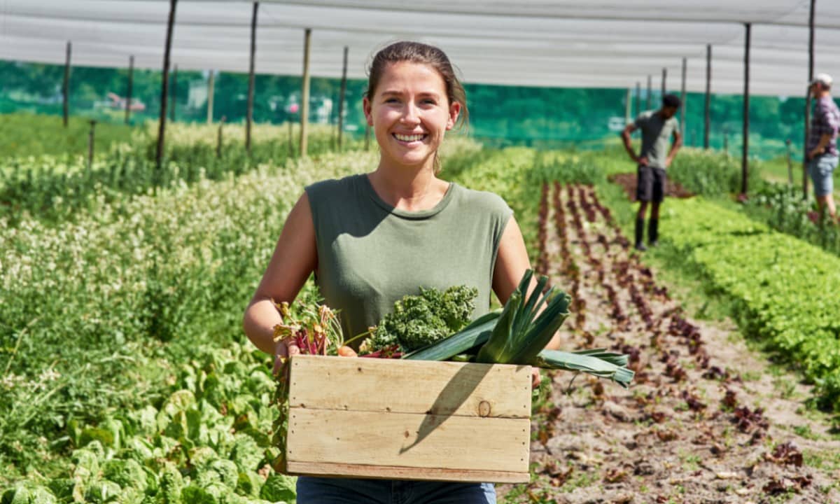 Farmers sustainability efforts