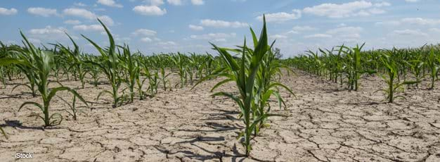 Farmers support disaster